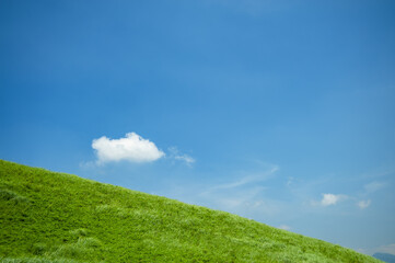 新緑の草原と夏の空