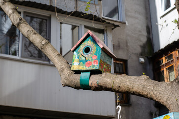 Birdhouse. Bird feeder on a tree.