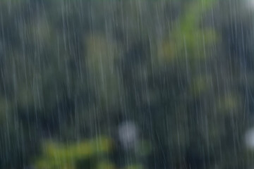激しく降る雨粒
