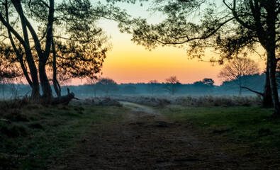 Fototapeta premium Sunrise in Drenthe 