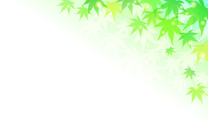 夏のもみじの爽やかなベクターイラスト背景(新緑)