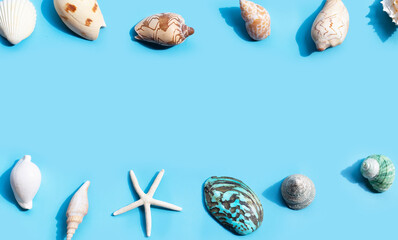 Frame made of starfish and exotic sea shells on blue. Summer background. Concept