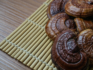 The  lingzhi mushroom image close up for alternative medicine or medical and health  concept.