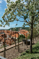 Fototapeta na wymiar Prague panorama,Czech Republic.Spring view of Church of Saint Nicholas,Lesser town with historical buildings and red roofs.Amazing European cityscape. Sunny day in the city.Travel architecture concept