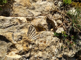 nostalgia, pueblo abandonado, peguera, barcelona, figols, ruina, pasado, esperanza, descubrir, error, humano, empezar, principio, creación, recuerdos, excursión, senderismo, fósil, solitario, fin