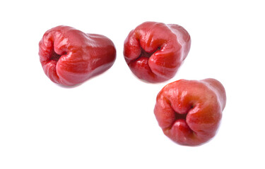 Whole rose apple or chomphu isolated on white background.