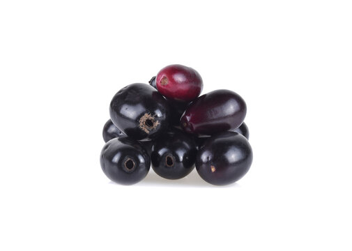 Jambolan plum or Java plum on white background.