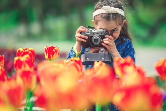 Little girl with old vintage camera making photos of tulips in flowers garden