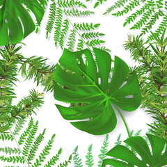 Group of plant leaf from tropical forests monstera, fern, pine leaf set in background Can be used for greeting cards, flyers, invitations, web design, to everything.