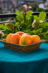 A basket full of fresh mango