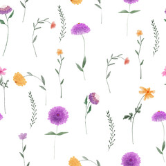 Seamless pattern with wild flowers on white background