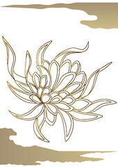 月下美人と和雲