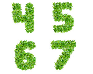Numbers 4, 5, 6, 7 made of lawn grass