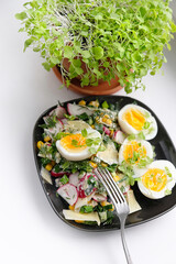 Fresh spring salad. green leaves salad, eggs, radish, onion, cucumber, corn, micro greens, parmesan and micro greens in pot. Healthy food
