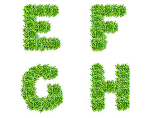 The letters E, F, G, H are made of lawn grass