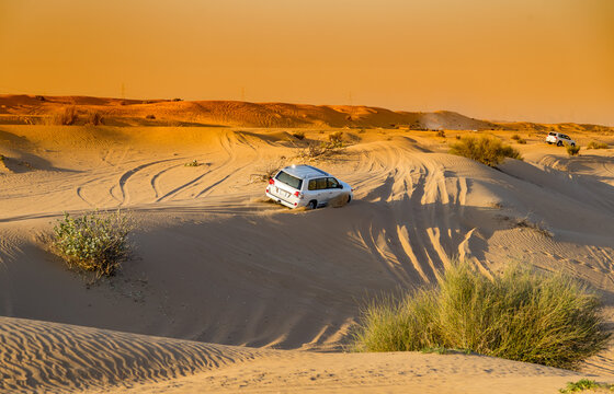 Dubai Desert Safari Adventure Tours