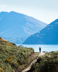 Tourist riding the bike on Glendhu Bay track along Lake Wanaka with mountains in the distance, South Island. Vertical format.