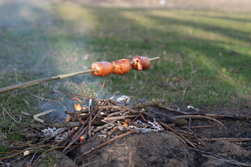 Sausages on stick over a campfire in the forest