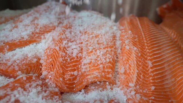 Salt crystals falling gently down and covering fresh raw salmon fish fillets - Slow motion closeup of salmon salting