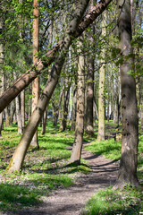 Lviv city spark in the early spring season