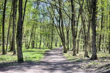 Lviv city spark in the early spring season