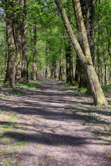 Lviv city spark in the early spring season