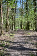 Lviv city spark in the early spring season