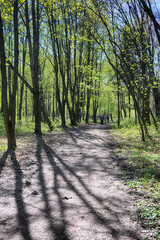 Lviv city spark in the early spring season