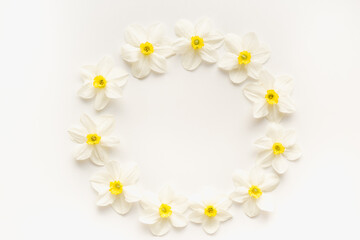 daffodils on a white background, white flowers on a white background, flowers on a white background 