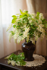 Photo of a bouquet of white flowers at the window.