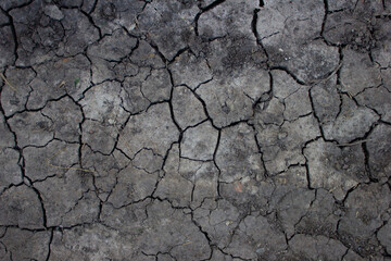 Cracked gray ground with white and black spots