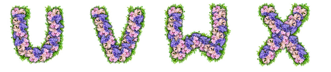 letters U, V, W, X made of flowers and green leaves