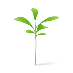 Green sprout on white background vector illustration