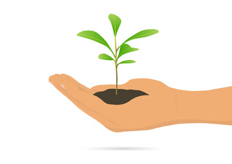 Fototapeta na wymiar Hand holding green sprout on white background, environmental concept vector illustration