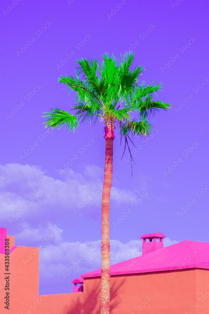 Wall mural Fashion tropical location. Orange house, Palm. Blue summer sky. Canary islands. Travel advertising banner wallpaper