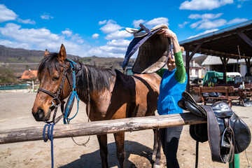 saddled horses on the farm before the ride