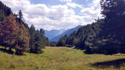 Pradera verde y extensa rodeada de pinos cerca de la Balsa de Arres, en el Valle de Arán, Lérida,...