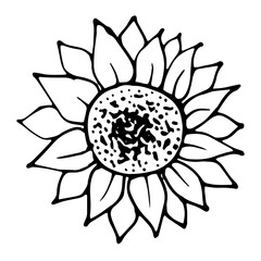 Vector Flower. Illustration for postcards and invitations. Drawing for printing. Doodle.