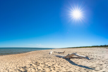 Fototapeta na wymiar Baltic Sea beach at summer in Sobieszewo, Poland