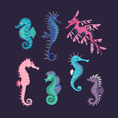 Set colorful seahorses. Pretty seahorses different silhouette on dark background. For festive card, logo, children, pattern, tattoo, decorative, creative concept. Cartoon vector illustration