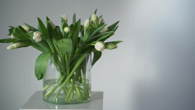 bouquet of tulips in a vase. High quality 4k footage