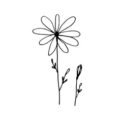 Vector Flower. Illustration for postcards and invitations. Drawing for printing. Doodle.