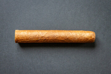 Brown cuban cigar isolated on grey