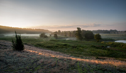 Morning fog over the river floodplain at dawn.