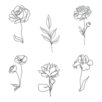Set of abstract flowers drawn by one line isolated on white background. Rose, branch, poppy, iris, peon, lotus. Minimalism. For wall art, home decor, pattern. Stock vector illustration.