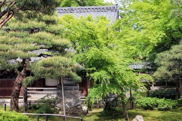 Fotobehang 日本の古い家と庭の風景 © masamasa3