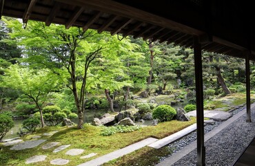 日本の古い家の美しい庭の風景