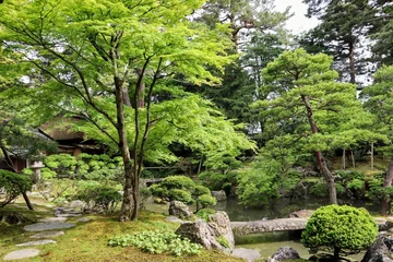 Fototapeten 日本の古い家の美しい庭の風景 © masamasa3