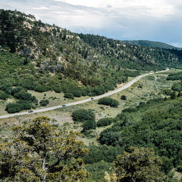 Road At Gila National Forest New Mexico USA