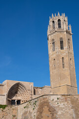 Fototapeta premium Seu Vella Lleida